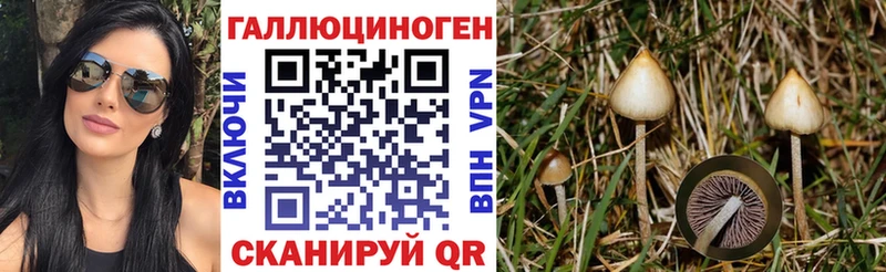 Псилоцибиновые грибы прущие грибы  Купить где  Симферополь 