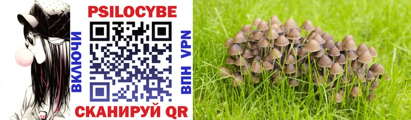 Галлюциногенные грибы Magic Shrooms Симферополь
